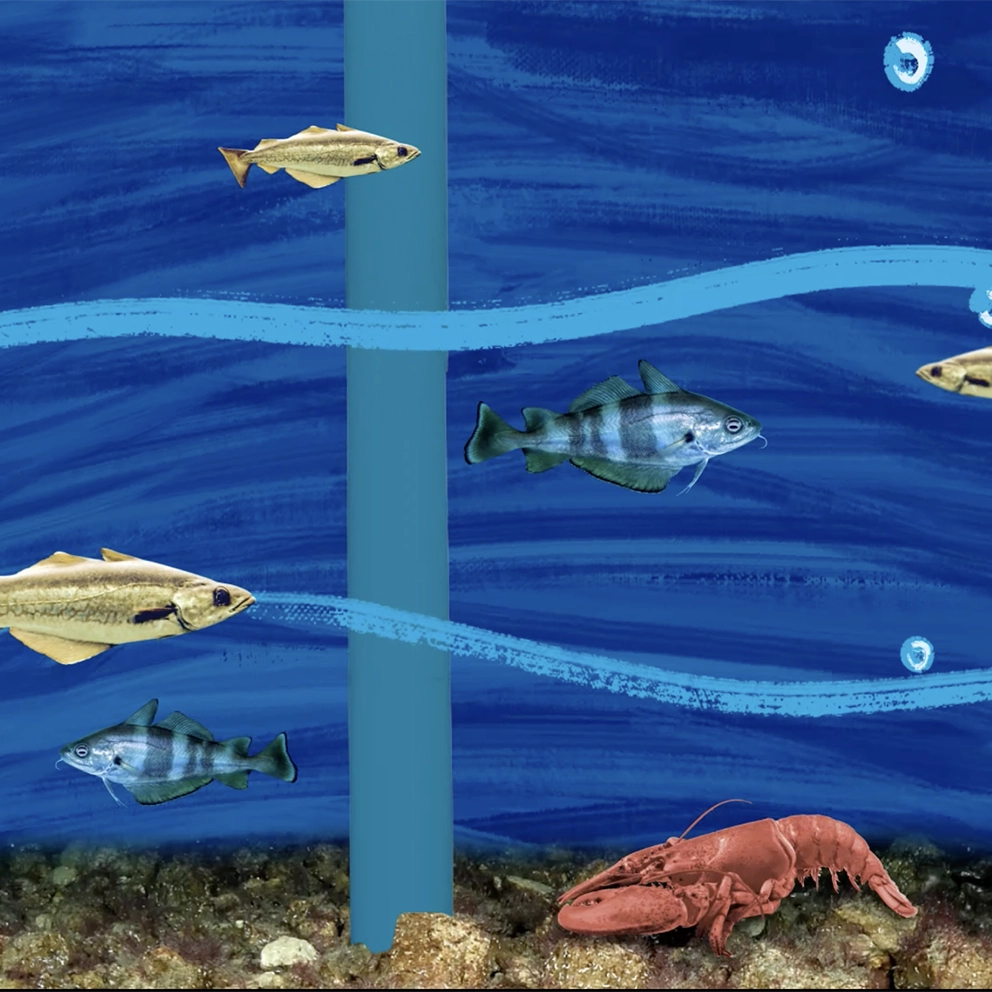 Les travaux, les éoliennes… et SapienSapienS